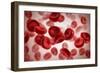 Microscopic View of Blood Cells-null-Framed Art Print