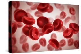 Microscopic View of Blood Cells-null-Stretched Canvas