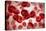 Microscopic View of Blood Cells-null-Stretched Canvas