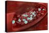 Microscopic View of Blood Clotting Inside the Artery-null-Stretched Canvas