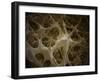 Microscopic View of Bone Fibre-null-Framed Art Print