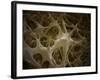 Microscopic View of Bone Fibre-null-Framed Art Print