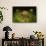 Microscopic View of Cancer Virus-null-Framed Stretched Canvas displayed on a wall