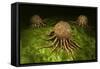Microscopic View of Cancer Virus-null-Framed Stretched Canvas