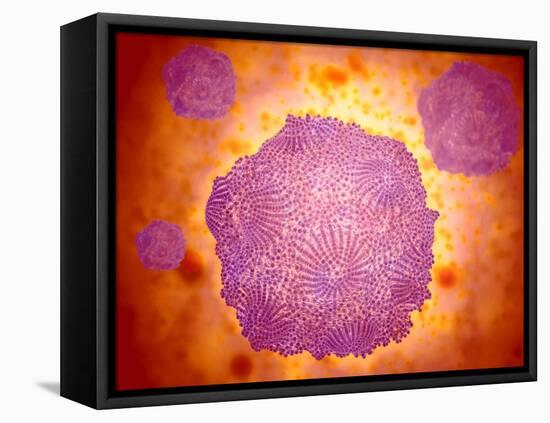 Microscopic View of Canine Parvovirus-null-Framed Stretched Canvas