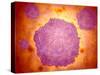 Microscopic View of Canine Parvovirus-null-Stretched Canvas