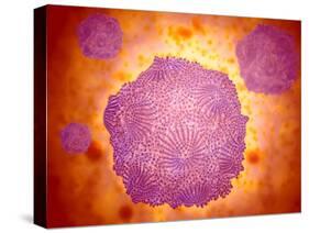 Microscopic View of Canine Parvovirus-null-Stretched Canvas