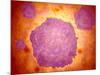 Microscopic View of Canine Parvovirus-null-Mounted Art Print