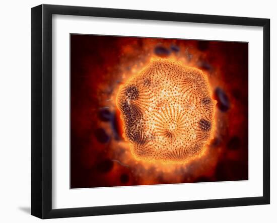 Microscopic View of Canine Parvovirus-null-Framed Art Print