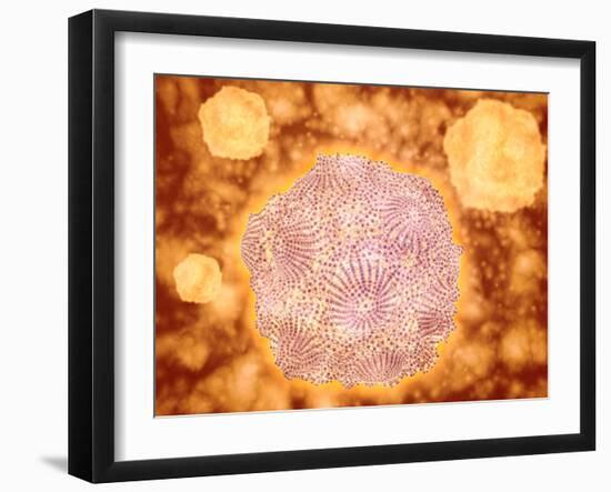 Microscopic View of Canine Parvovirus-null-Framed Art Print