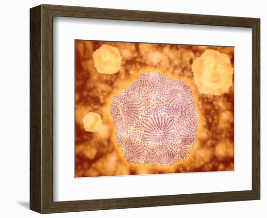 Microscopic View of Canine Parvovirus-null-Framed Art Print