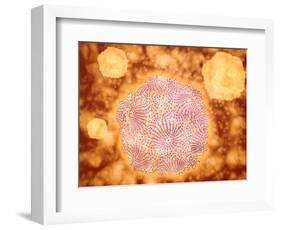 Microscopic View of Canine Parvovirus-null-Framed Art Print