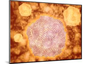 Microscopic View of Canine Parvovirus-null-Mounted Art Print