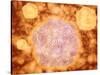 Microscopic View of Canine Parvovirus-null-Stretched Canvas