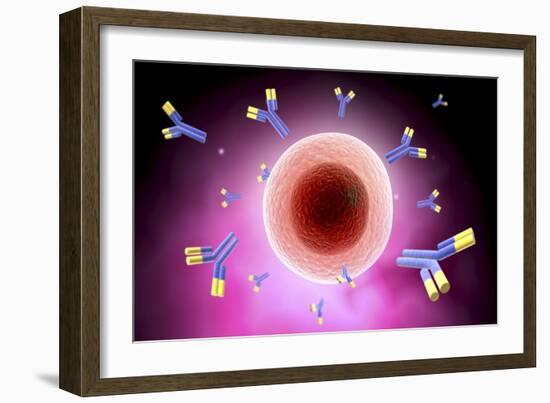 Microscopic View of Cell and Antibody-null-Framed Art Print