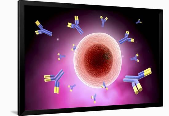 Microscopic View of Cell and Antibody-null-Framed Art Print