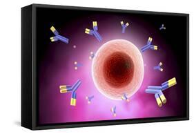 Microscopic View of Cell and Antibody-null-Framed Stretched Canvas