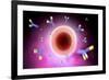 Microscopic View of Cell and Antibody-null-Framed Art Print