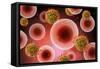 Microscopic View of Cell and Virus-null-Framed Stretched Canvas