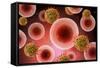 Microscopic View of Cell and Virus-null-Framed Stretched Canvas