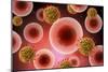 Microscopic View of Cell and Virus-null-Mounted Art Print
