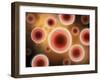 Microscopic View of Cell-null-Framed Art Print