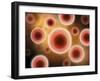 Microscopic View of Cell-null-Framed Art Print