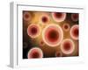 Microscopic View of Cell-null-Framed Art Print