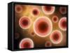 Microscopic View of Cell-null-Framed Stretched Canvas