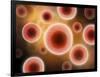 Microscopic View of Cell-null-Framed Art Print