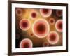 Microscopic View of Cell-null-Framed Art Print