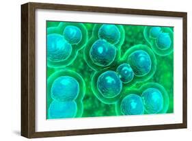 Microscopic View of Chlamydia-null-Framed Art Print