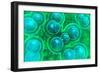 Microscopic View of Chlamydia-null-Framed Art Print