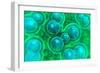 Microscopic View of Chlamydia-null-Framed Art Print