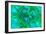 Microscopic View of Chlamydia-null-Framed Premium Giclee Print