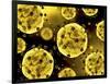 Microscopic View of Coronavirus-null-Framed Art Print