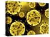 Microscopic View of Coronavirus-null-Stretched Canvas