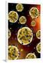 Microscopic View of Coronavirus-null-Framed Art Print