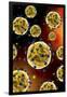 Microscopic View of Coronavirus-null-Framed Art Print