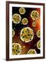 Microscopic View of Coronavirus-null-Framed Art Print