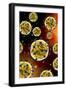 Microscopic View of Coronavirus-null-Framed Art Print