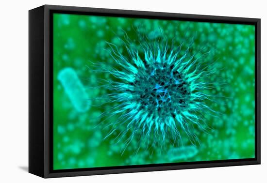 Microscopic View of Dendrimers-null-Framed Stretched Canvas