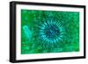 Microscopic View of Dendrimers-null-Framed Art Print
