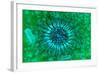Microscopic View of Dendrimers-null-Framed Art Print