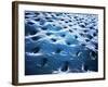 Microscopic View of Dentine-null-Framed Art Print