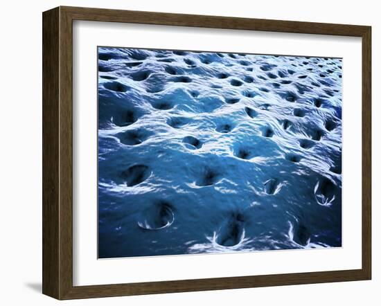 Microscopic View of Dentine-null-Framed Art Print