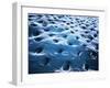 Microscopic View of Dentine-null-Framed Art Print