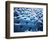 Microscopic View of Dentine-null-Framed Art Print