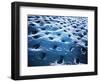 Microscopic View of Dentine-null-Framed Art Print