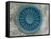 Microscopic View of Diatom-Jim Zuckerman-Framed Stretched Canvas